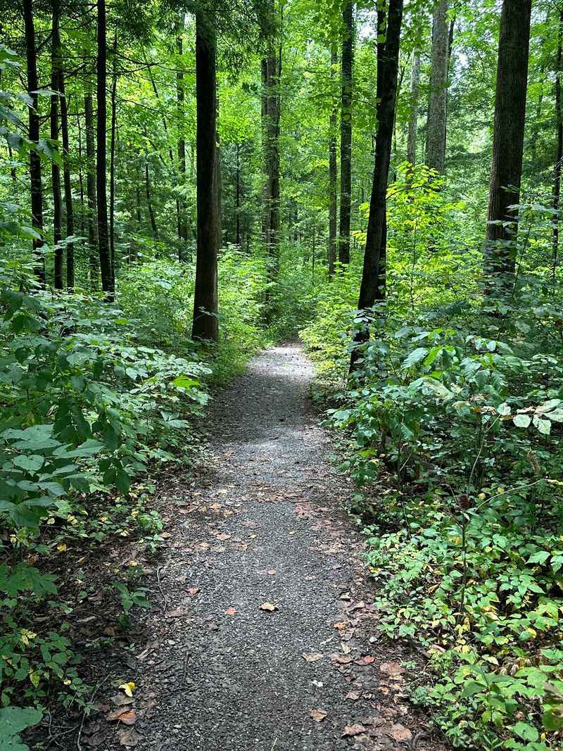 Gatlinburg Trail, Gatlinburg Gatlinburg Trail, Gatlinburg