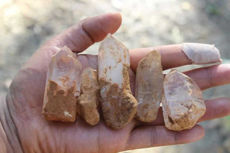 Geode Cracking and Rockhounding Geode Cracking and Rockhounding