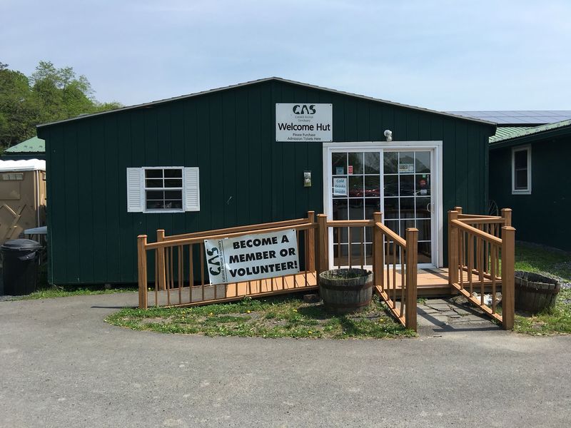 Gift Shop And Ways To Pitch In