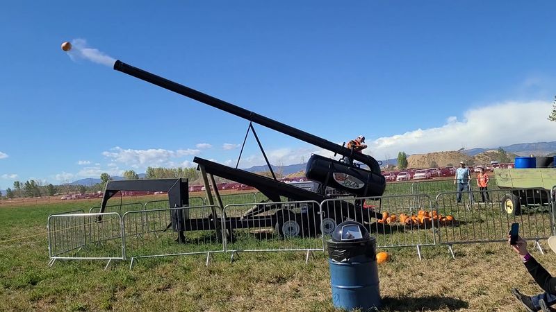 Goats, Llamas, and a Pumpkin Cannon Goats, Llamas, and a Pumpkin Cannon