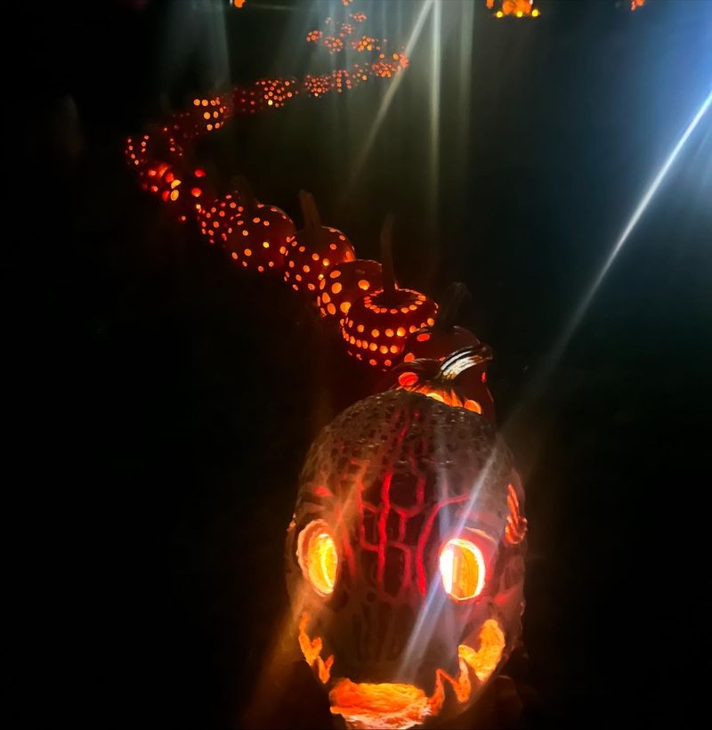 Grafton Hill Makes The Perfect Spooky Backdrop