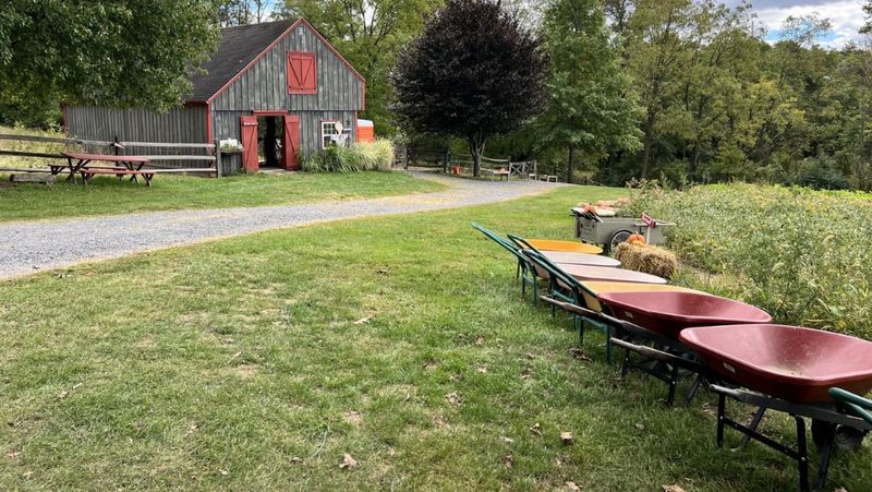 Gray’s Apple Ridge - Jonestown Gray’s Apple Ridge - Jonestown