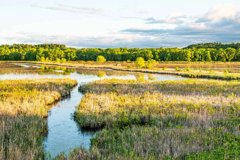 Great Meadows National Wildlife Refuge Great Meadows National Wildlife Refuge