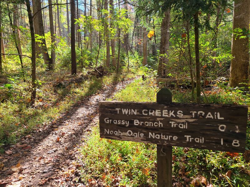 Great Smoky Mountains National Park - Townsend and Gatlinburg Area