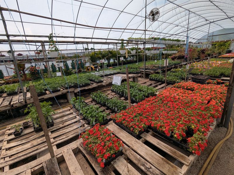 Green Thumbs Will Lose Track Of Time In The Greenhouse
