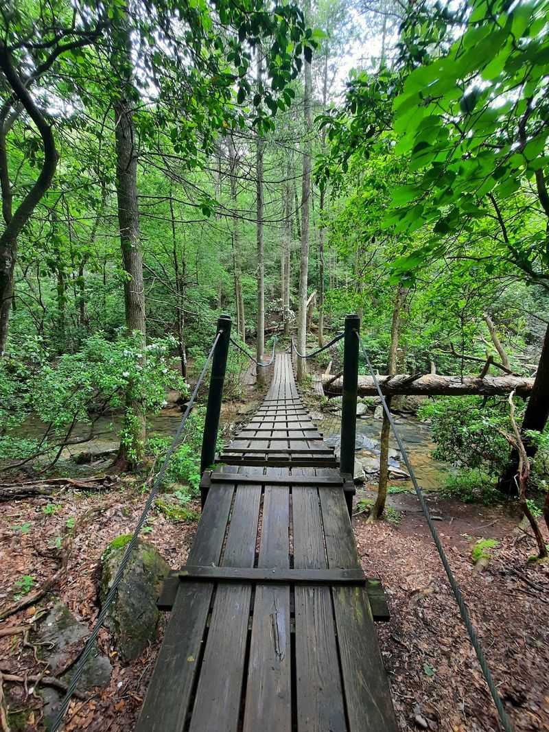 Greeter Falls Trail Suspension Bridge near Altamont Greeter Falls Trail Suspension Bridge near Altamont