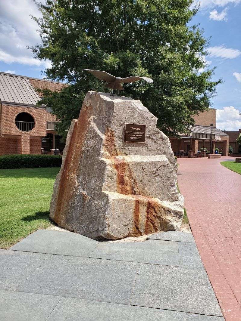 Grounds, Greenery, and a Lucky Stone