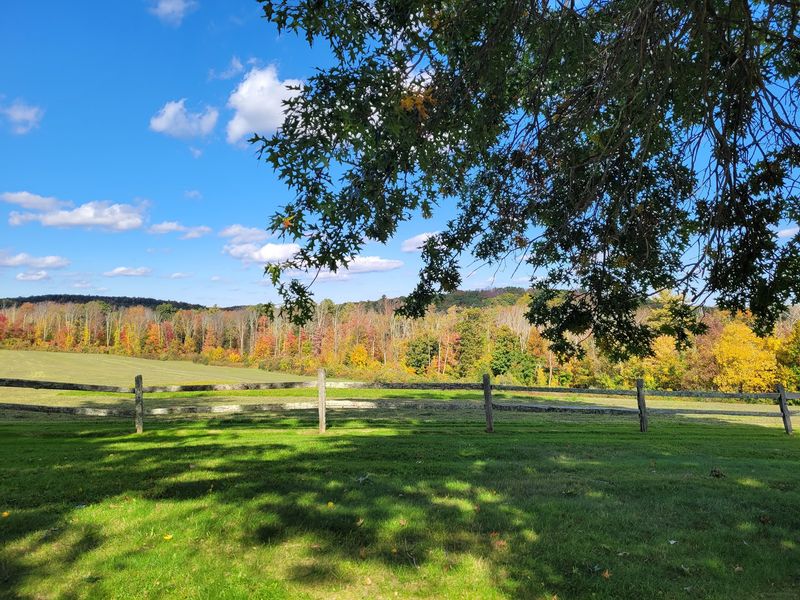 Grounds, Views, and Birds