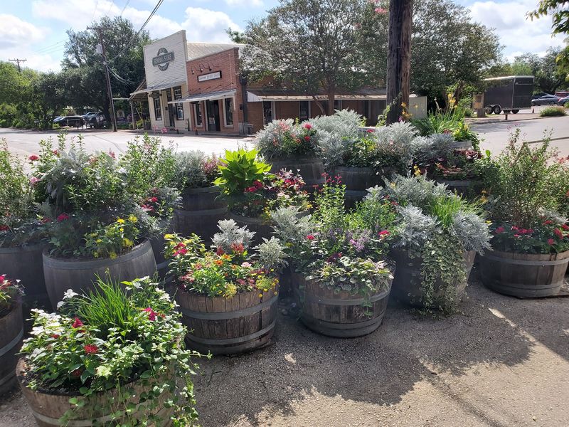 Gruene