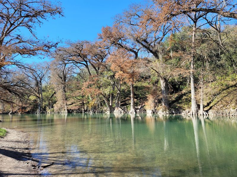 Guadalupe River State Park (Spring Branch) Guadalupe River State Park (Spring Branch)