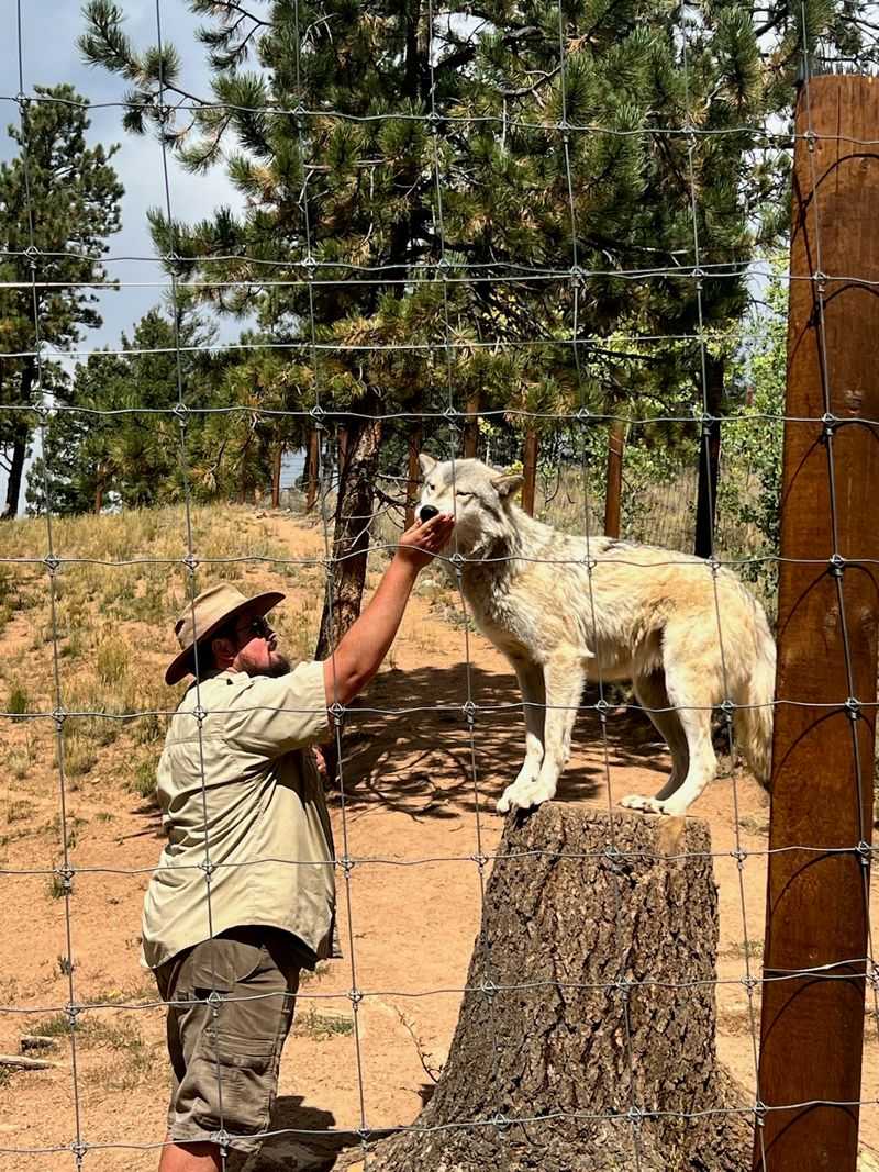 Guides Who Know Every Wolf