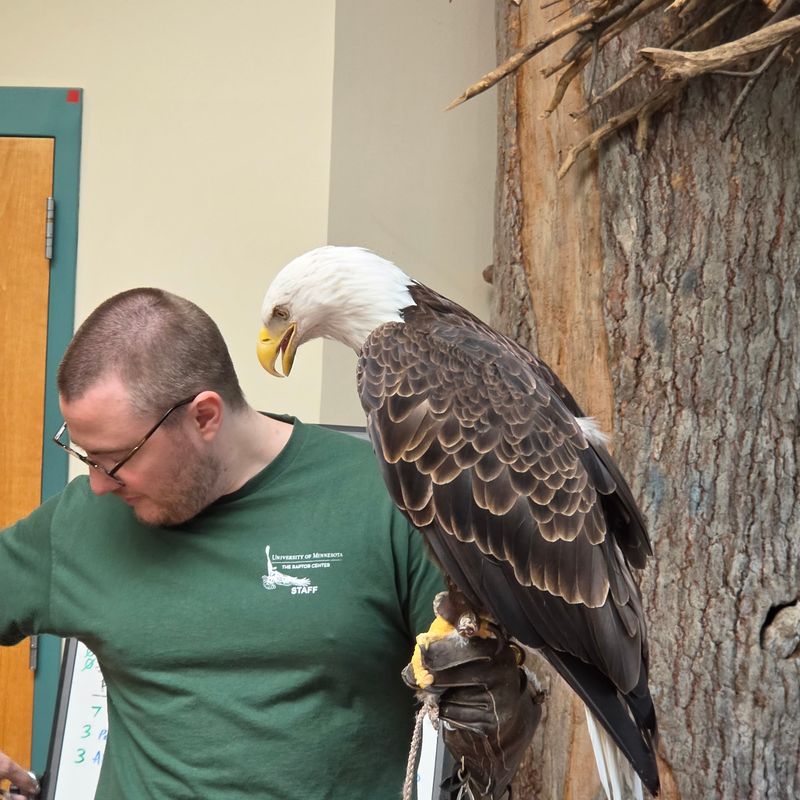 Guides Who Know Their Feathers