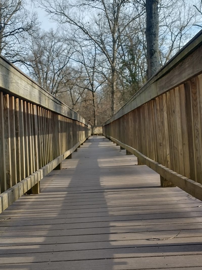 Half a Mile of Planks Half a Mile of Planks