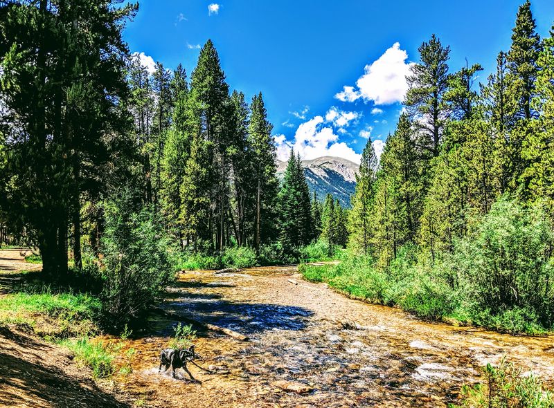 Halfmoon East Campground, Twin Lakes, CO Halfmoon East Campground, Twin Lakes, CO