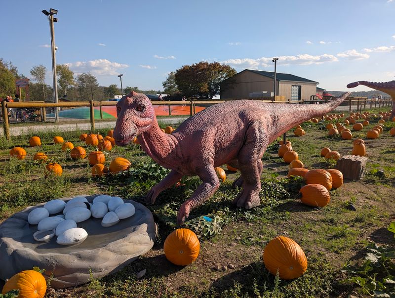 Halloween Weekend Brings Costumes, Candy, And A Truck-Or-Treat