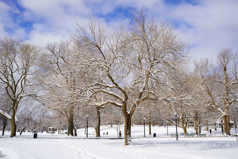 Harsh Winters