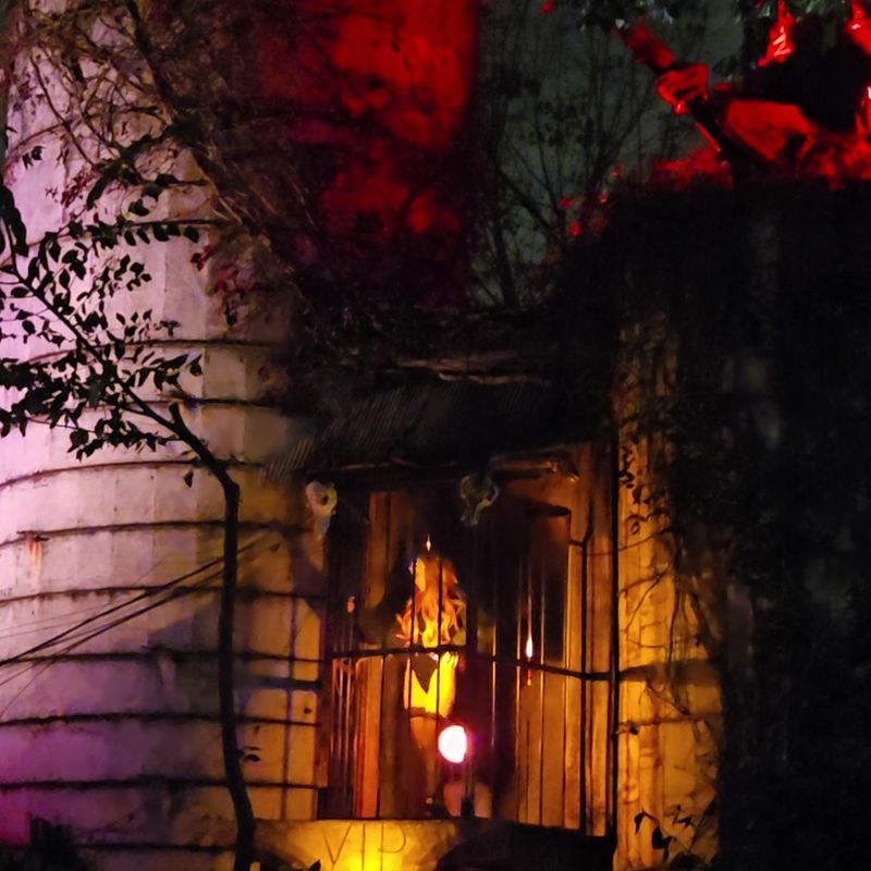 Haunted Hoochie