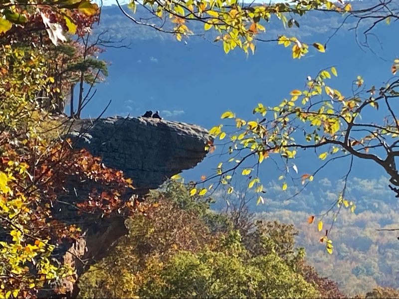 Hawksbill Crag Trailhead
