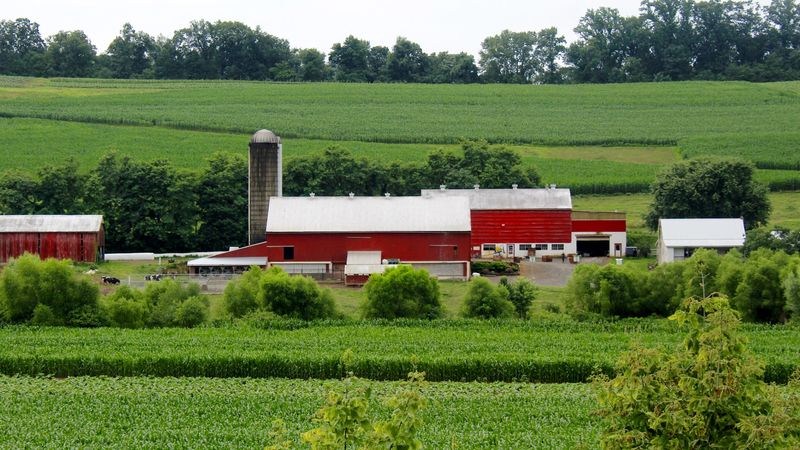 Heartland of Leacock Township
