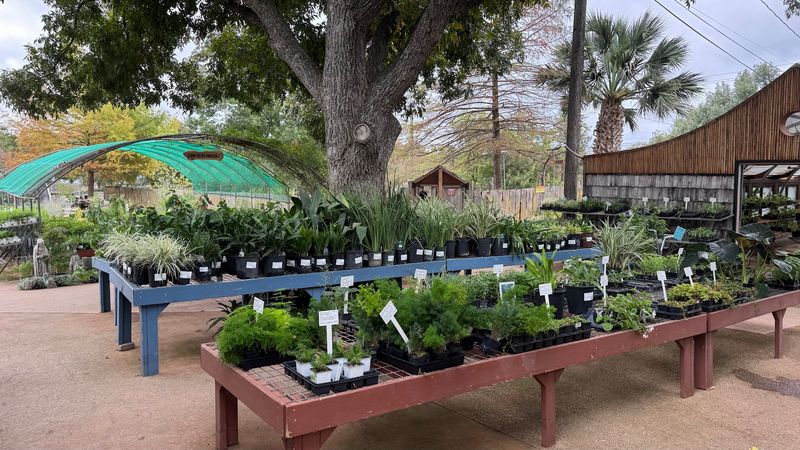 Herb Gardens You Can Almost Taste Herb Gardens You Can Almost Taste