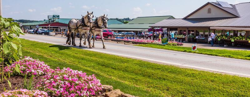 Hershberger’s Farm And Bakery, Millersburg