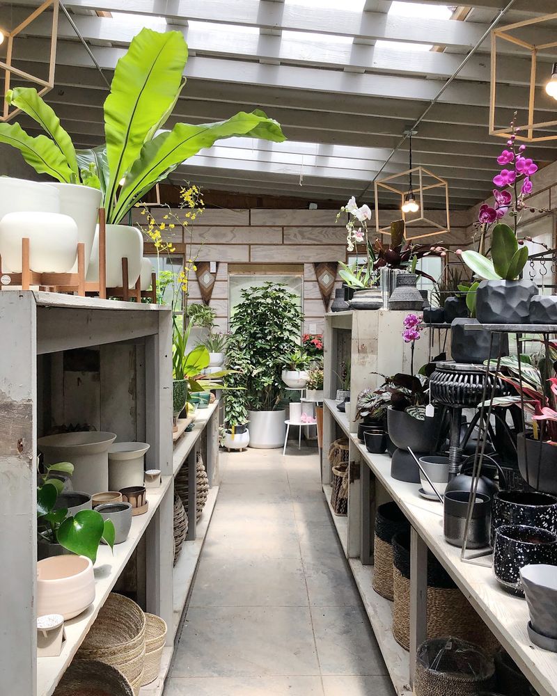 Hewitt Garden and Design Center, Franklin, TN