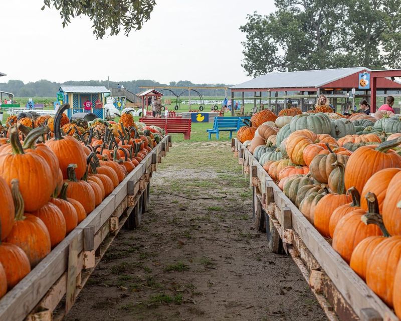 Hicks Family Farms Hicks Family Farms
