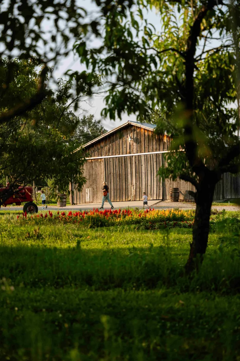Hidden Valley Orchards, Lebanon