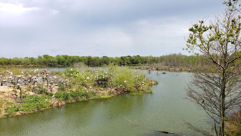 High Island Audubon Sanctuaries High Island Audubon Sanctuaries