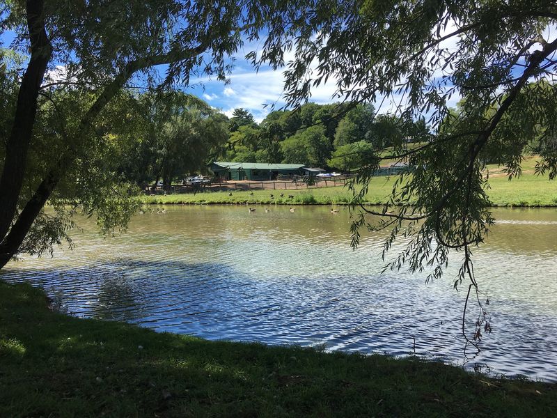 Hills, Wildflowers And A Quiet Pond