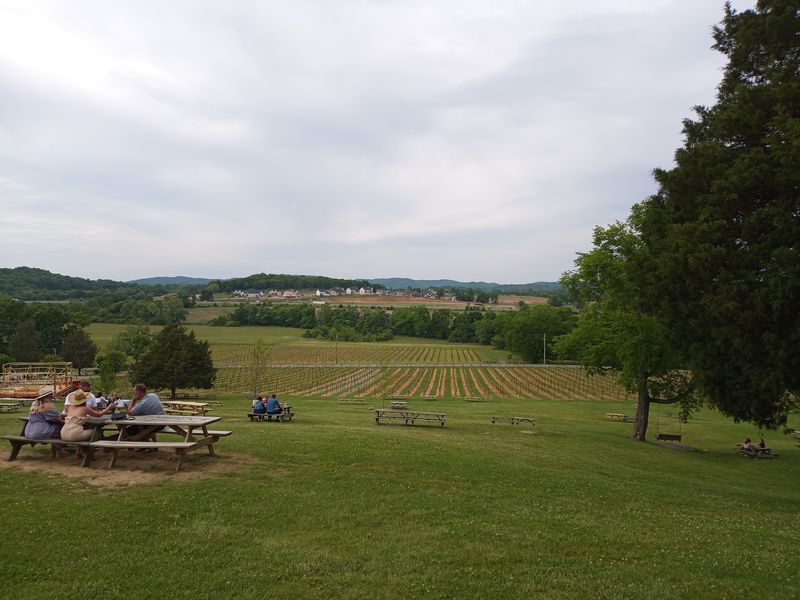 Hillside Picnics Turn An Afternoon Into An Escape Hillside Picnics Turn An Afternoon Into An Escape