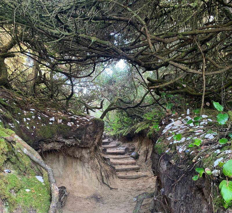 Hobbit Beach Trail Head, Florence Hobbit Beach Trail Head, Florence