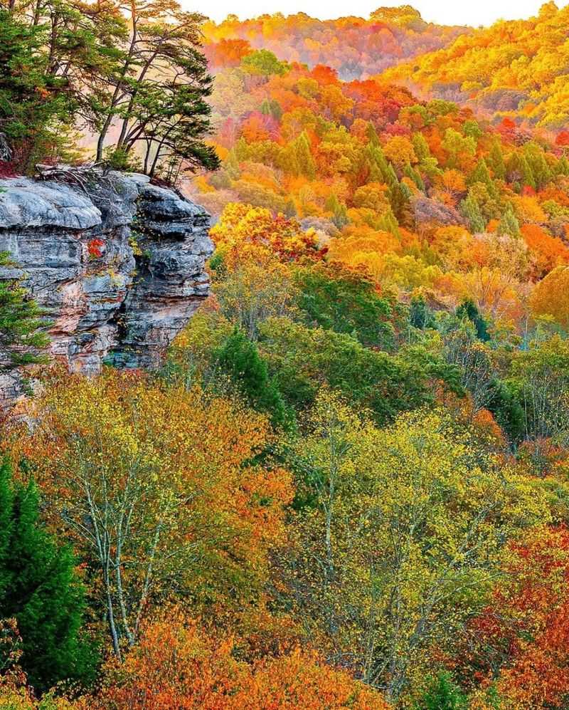 Hocking Hills State Park: Fall Color Above the Sandstone