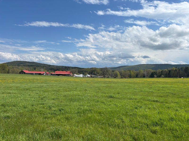Holiday Brook Farm: Give Dalton a Thoughtful Maple Stop Holiday Brook Farm: Give Dalton a Thoughtful Maple Stop