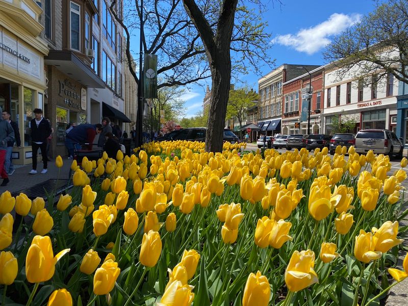 Holland, Ottawa and Allegan Counties: Mix Waterfront Time With Downtown Wandering Holland, Ottawa and Allegan Counties: Mix Waterfront Time With Downtown Wandering