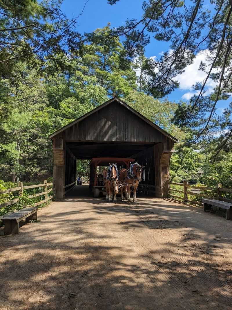 Horse-Drawn Rides and a Covered Bridge Horse-Drawn Rides and a Covered Bridge