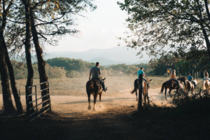 Horseback Riding, Thrilling ATV Rides, and Year-Round Snow Tubing – This Tennessee Adventure Park Has It All