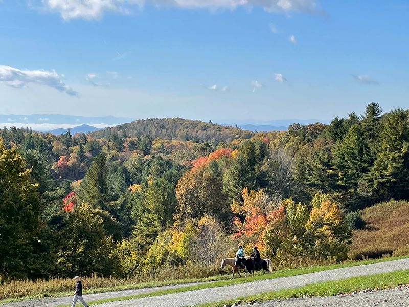 Horses, Hikers, and Happy Dogs Sharing the Trails
