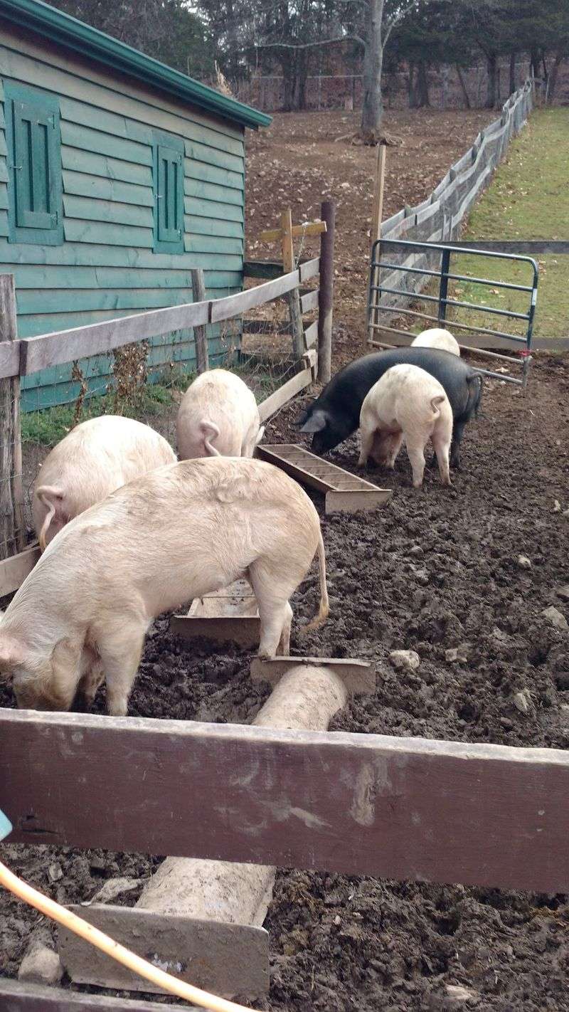 Hours, Tours And Muddy Boots