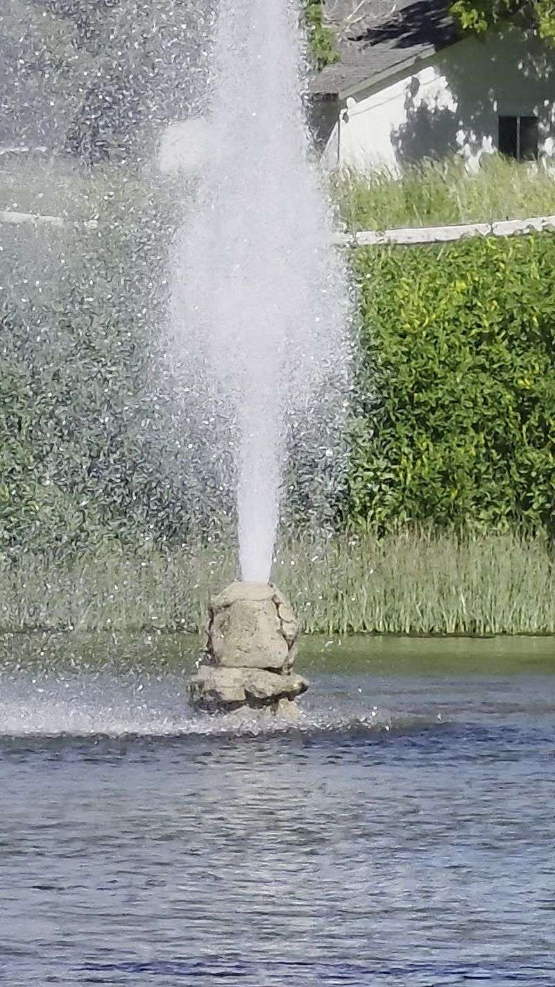 How Often the Water Flies