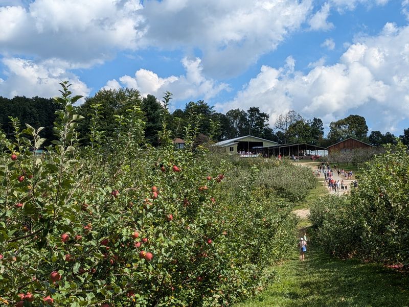 How Pick-Your-Own Works on the Hill