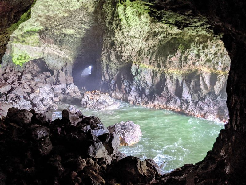 Inside the Cavern of Steller Sea Lions