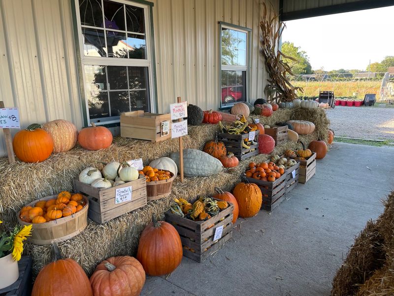 Jacquemin Farms Jacquemin Farms