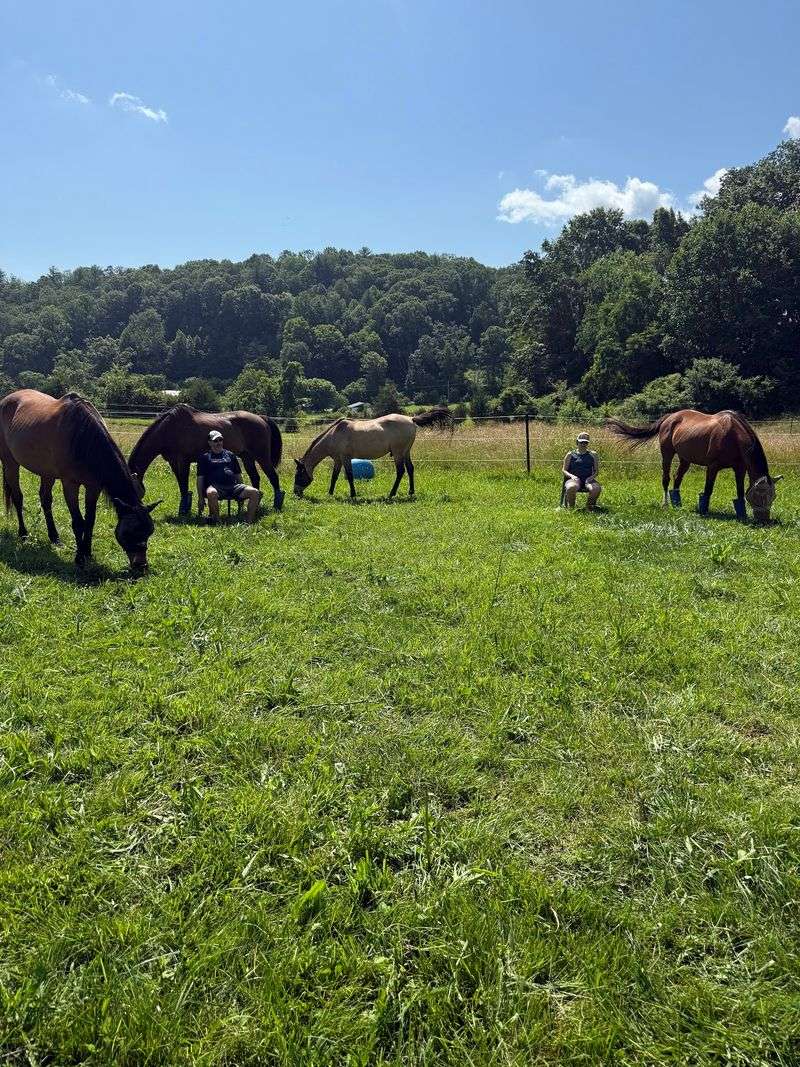 Jennifer and Jason's Herd-Inspired Vision