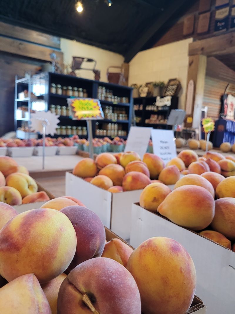 Jenschke Orchards (Fredericksburg)