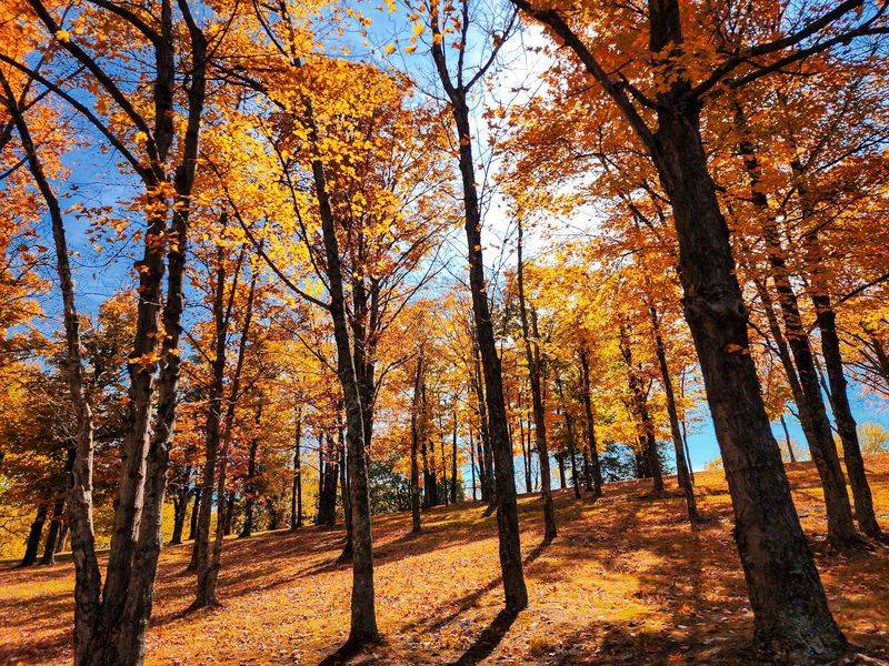 Your Tent Has Never Had Neighbors This Scenic Your Tent Has Never Had Neighbors This Scenic