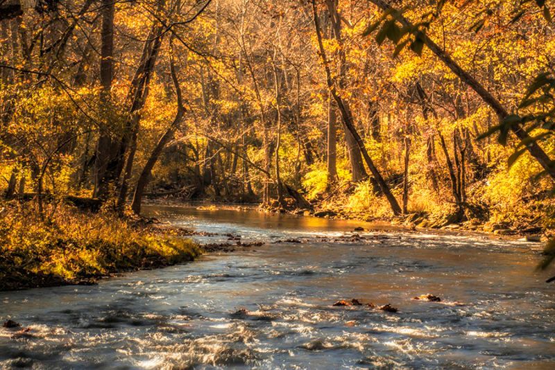 John Bryan State Park, Yellow Springs