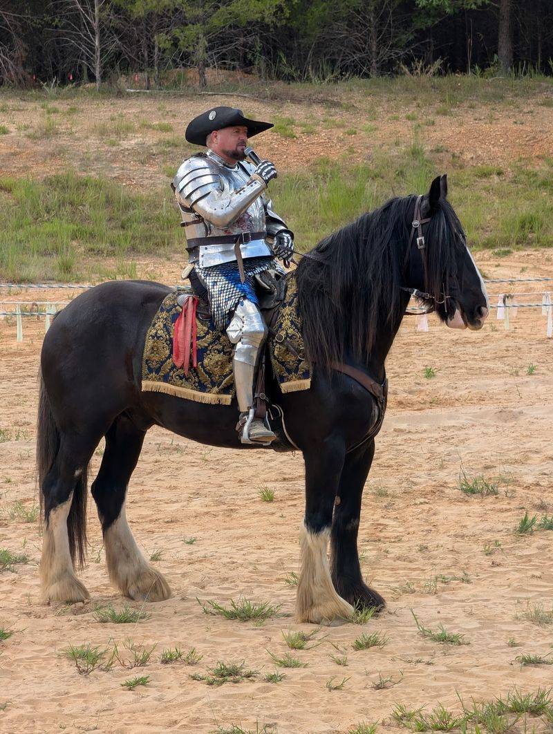 Joust, Fire and Fight Shows Joust, Fire and Fight Shows