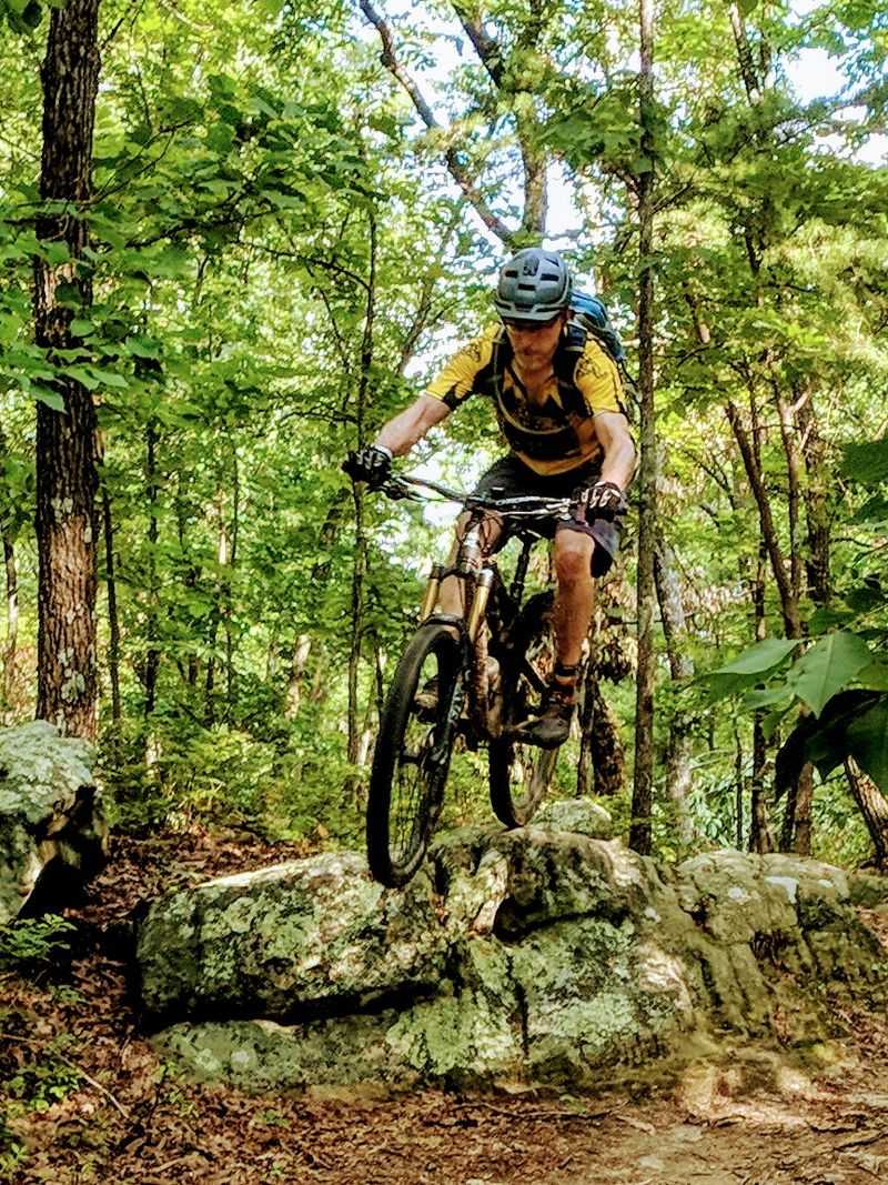 Just Outside Chattanooga, a Mountain Biking Paradise Awaits