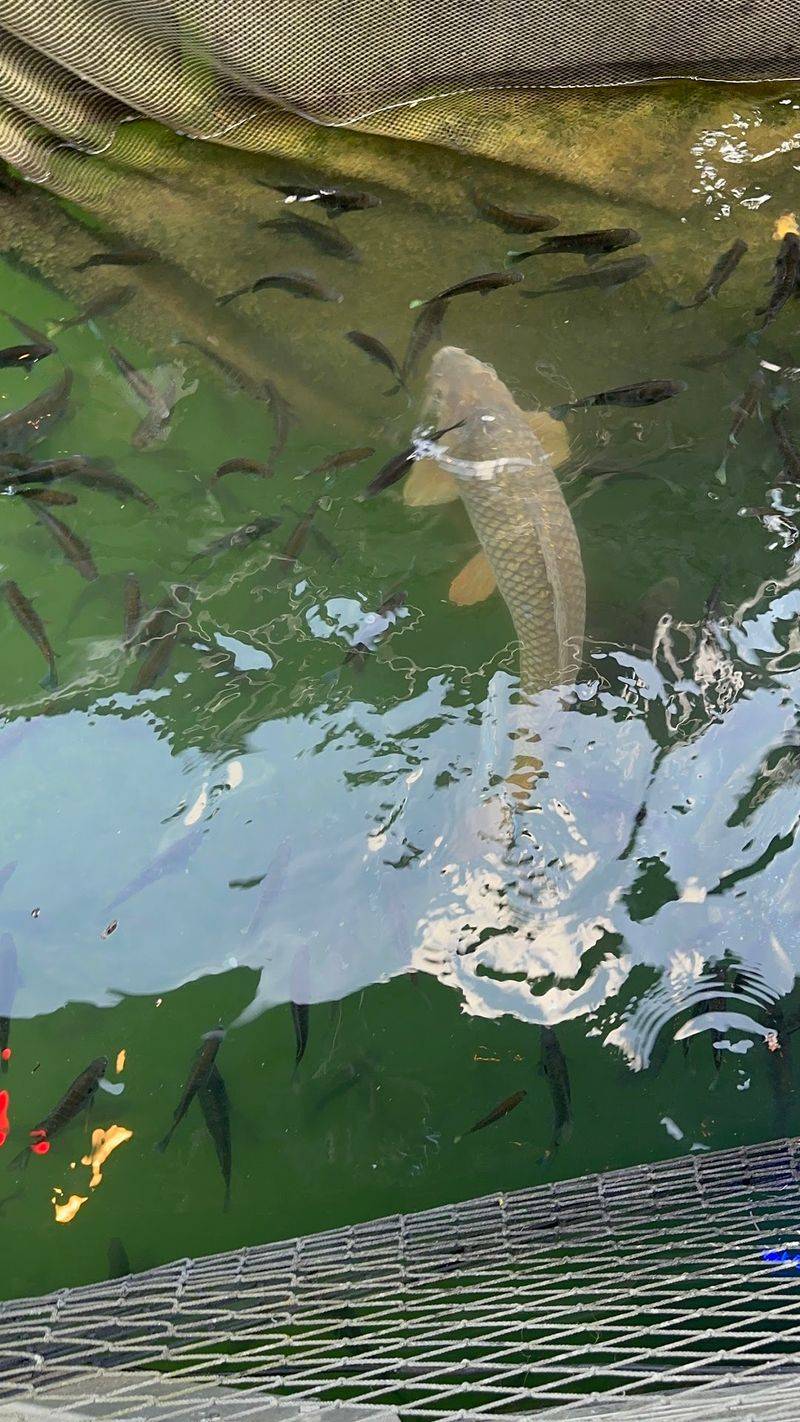Keep An Eye On The Water Below Your Chair Keep An Eye On The Water Below Your Chair